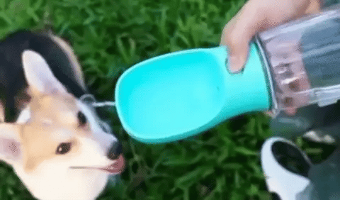 PawPal Hordozható itató