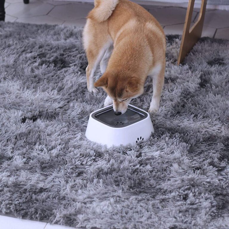 PawPal Okos Itató